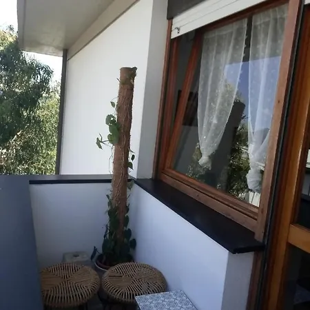Apartment Rosa